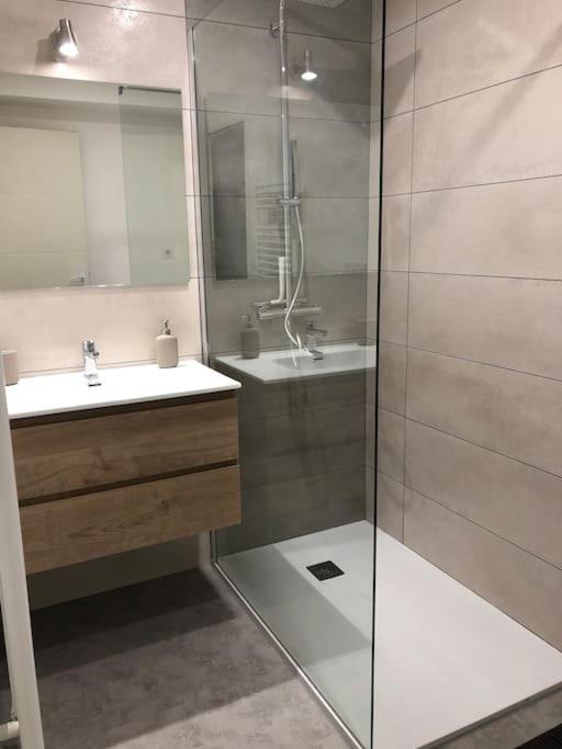 Appartement Moderne & Lumineux 40M2 Centre Luxeuil Luxeuil-les-Bains Exterior foto